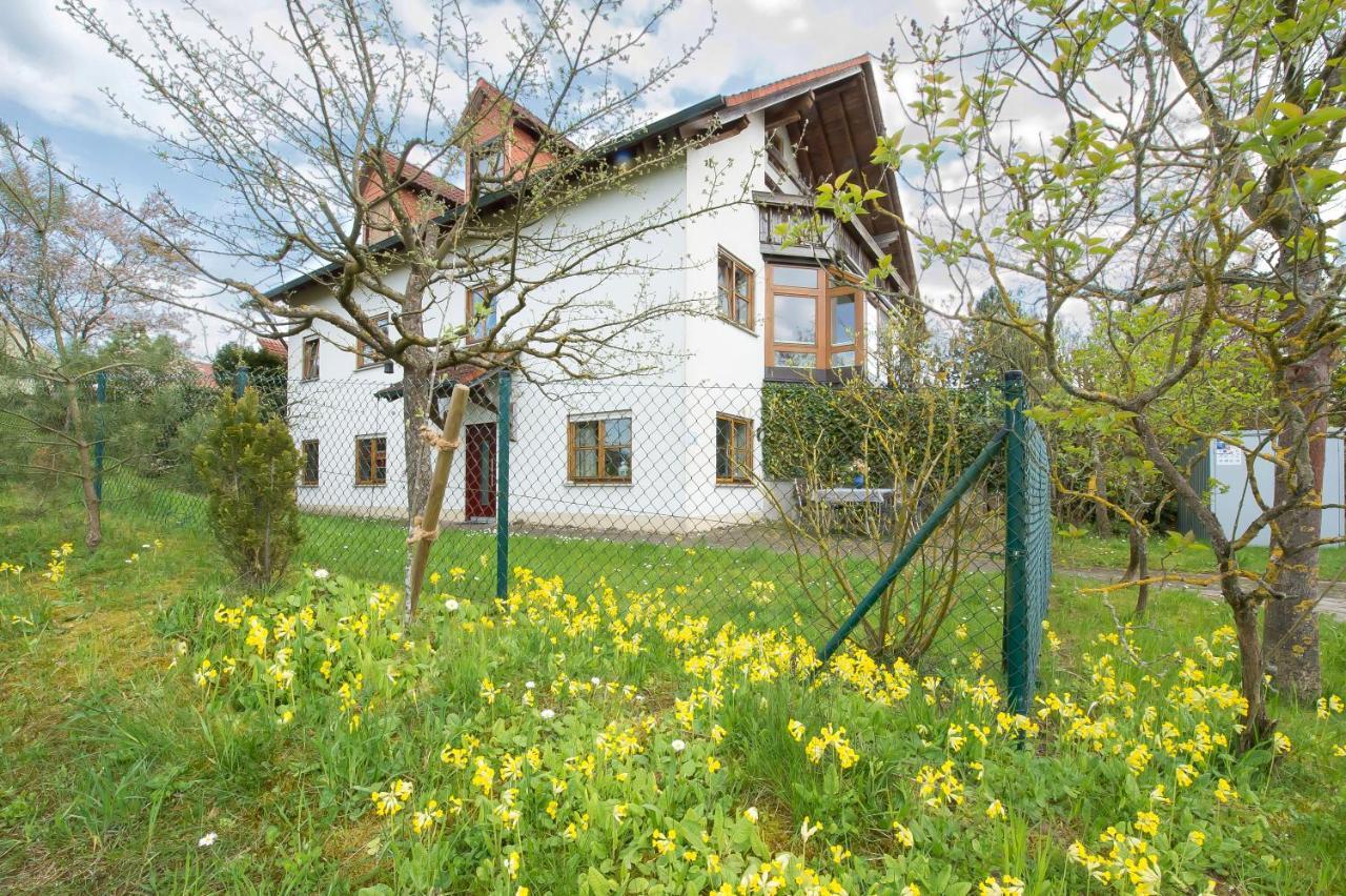 Iris-Ferien Mit Hund Appartement Walsdorf  Buitenkant foto